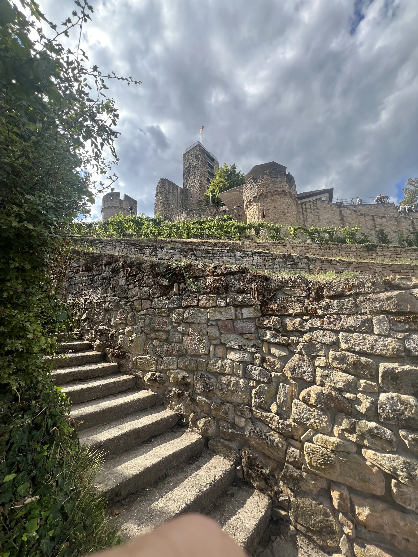 Burgruine Wachtenburg oberhalb der Weinberge